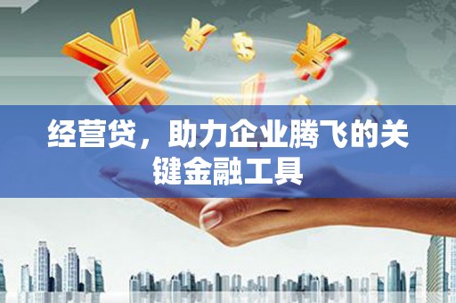 万全经营贷，助力企业腾飞的关键金融工具