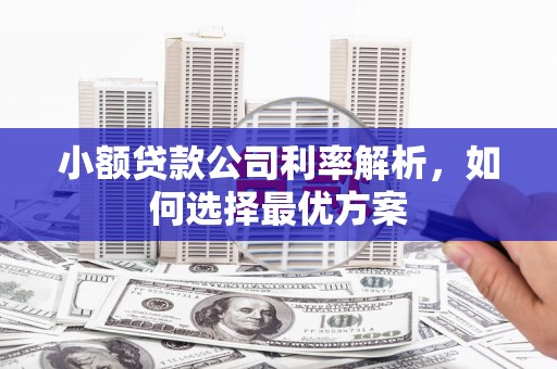 万全小额贷款公司利率解析，如何选择最优方案