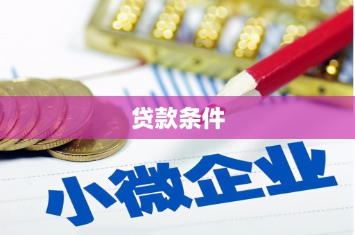 万全贷款条件