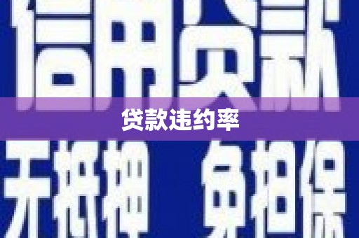 万全贷款违约率