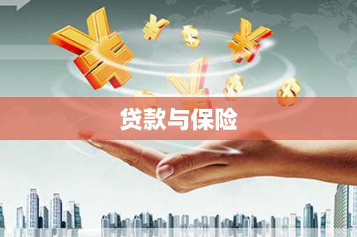 万全贷款与保险