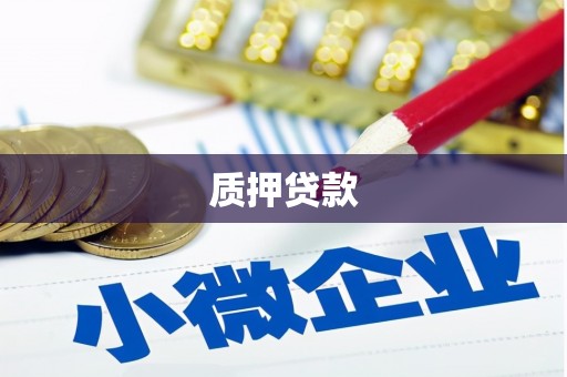 万全质押贷款