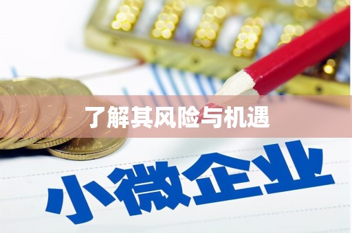 万全了解其风险与机遇