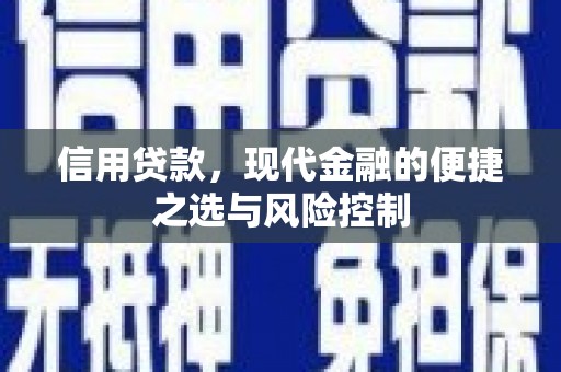 万全信用贷款，现代金融的便捷之选与风险控制