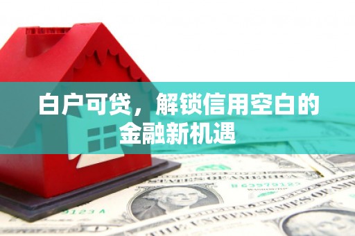万全白户可贷，解锁信用空白的金融新机遇