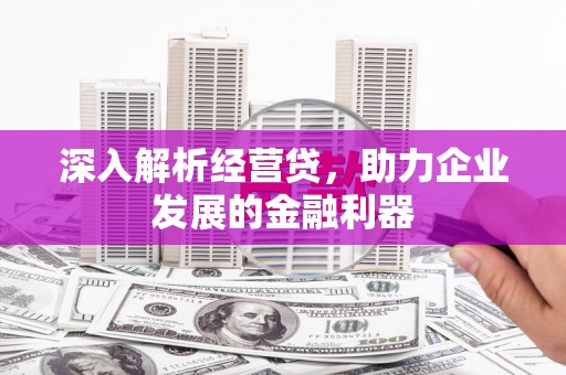 万全深入解析经营贷，助力企业发展的金融利器