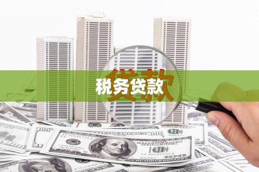 万全税务贷款