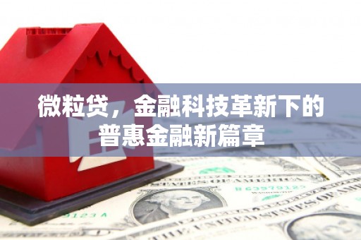万全微粒贷，金融科技革新下的普惠金融新篇章