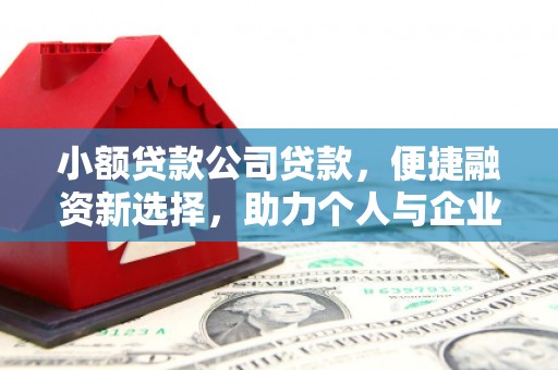 万全小额贷款公司贷款，便捷融资新选择，助力个人与企业成长