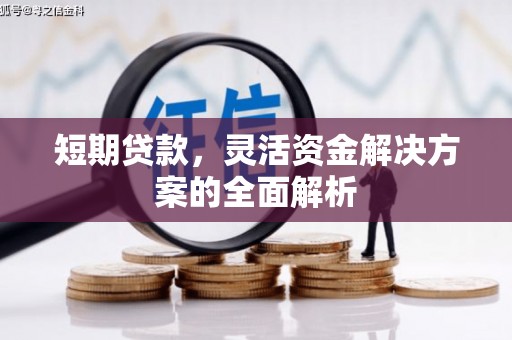 万全短期贷款，灵活资金解决方案的全面解析