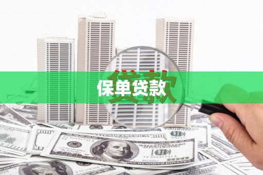 万全保单贷款