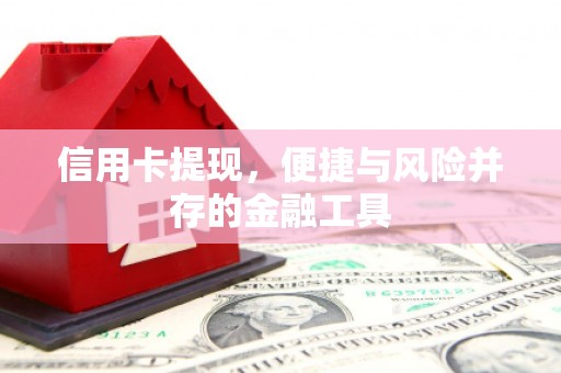 万全信用卡提现，便捷与风险并存的金融工具