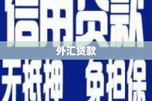 万全外汇贷款