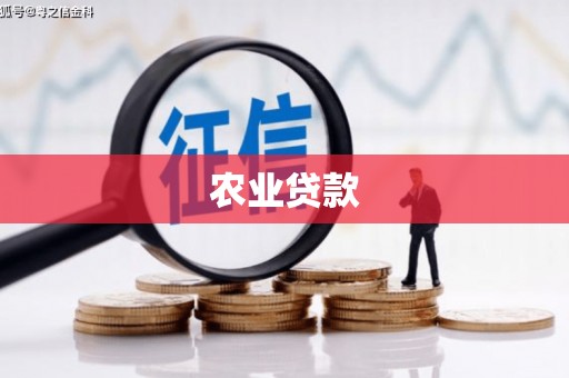 万全农业贷款