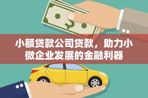 万全小额贷款公司贷款，助力小微企业发展的金融利器