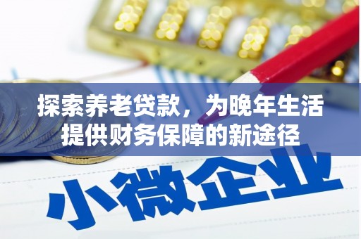 万全探索养老贷款，为晚年生活提供财务保障的新途径