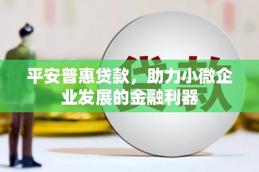 万全平安普惠贷款，助力小微企业发展的金融利器