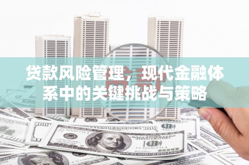 万全贷款风险管理，现代金融体系中的关键挑战与策略