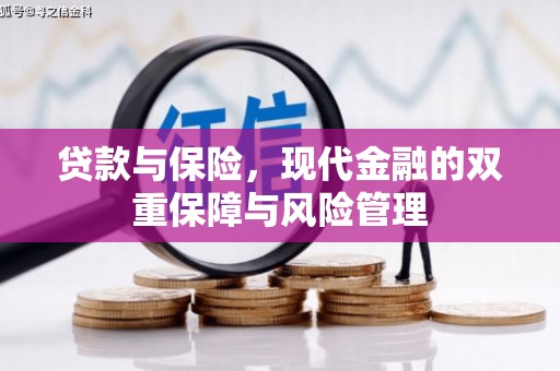 万全贷款与保险，现代金融的双重保障与风险管理