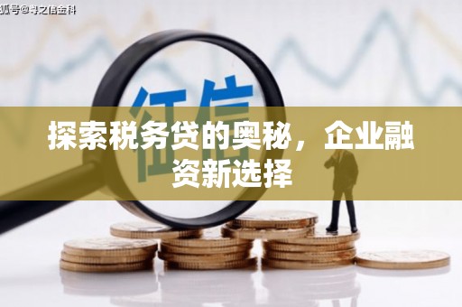 万全探索税务贷的奥秘，企业融资新选择