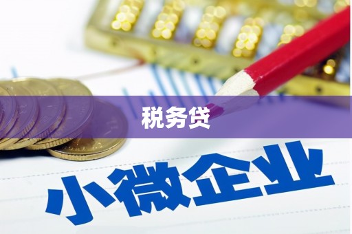 万全税务贷