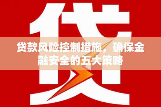 万全贷款风险控制措施，确保金融安全的五大策略
