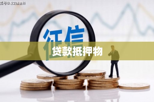 万全贷款抵押物