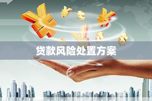 万全贷款风险处置方案