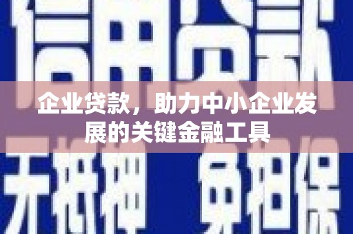 万全企业贷款，助力中小企业发展的关键金融工具