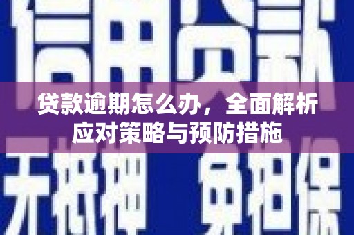 万全贷款逾期怎么办，全面解析应对策略与预防措施