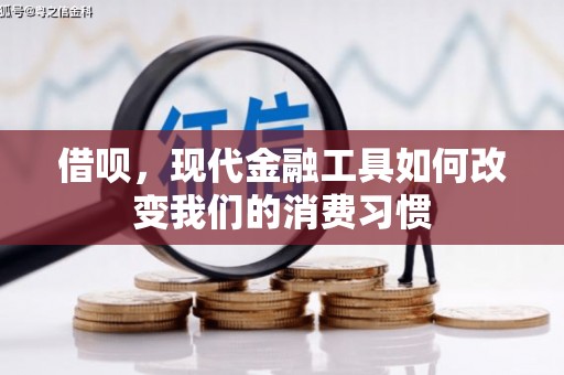 万全借呗，现代金融工具如何改变我们的消费习惯