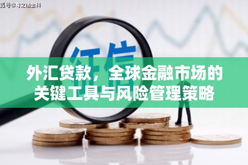 万全外汇贷款，全球金融市场的关键工具与风险管理策略