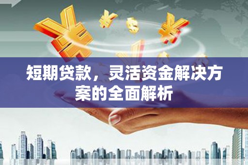 万全短期贷款，灵活资金解决方案的全面解析
