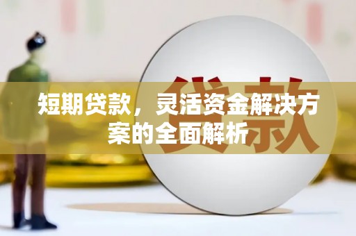 万全短期贷款，灵活资金解决方案的全面解析