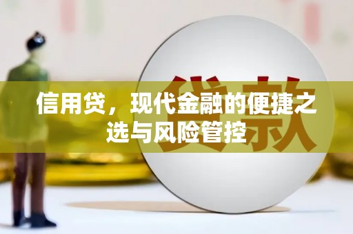 万全信用贷，现代金融的便捷之选与风险管控