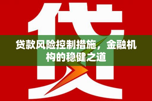 万全贷款风险控制措施，金融机构的稳健之道