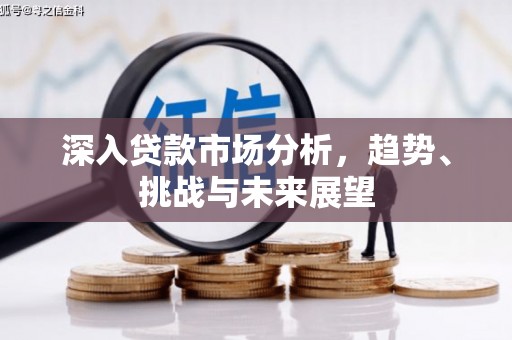 万全深入贷款市场分析，趋势、挑战与未来展望