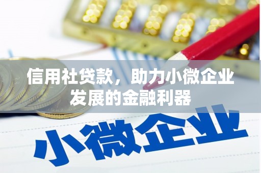 万全信用社贷款，助力小微企业发展的金融利器