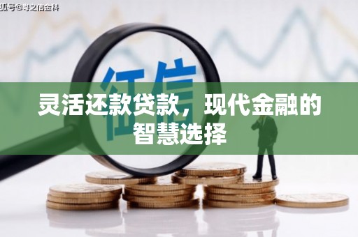 万全灵活还款贷款，现代金融的智慧选择