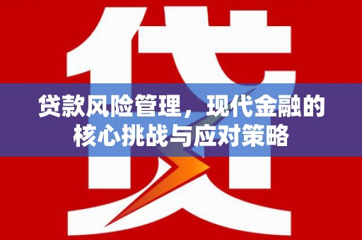 万全贷款风险管理，现代金融的核心挑战与应对策略