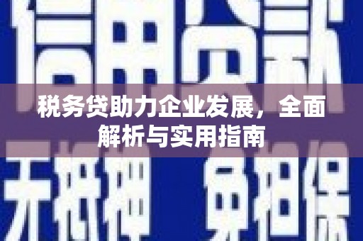 万全税务贷助力企业发展，全面解析与实用指南