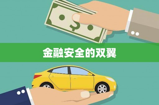 万全金融安全的双翼