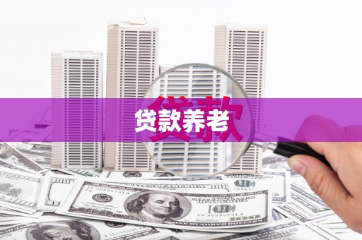 万全贷款养老