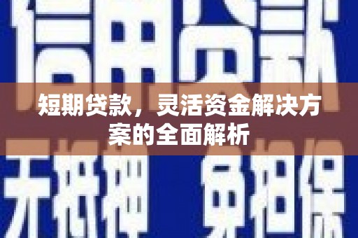 万全短期贷款，灵活资金解决方案的全面解析