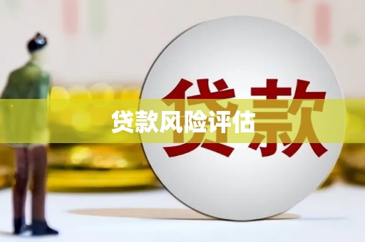 万全贷款风险评估