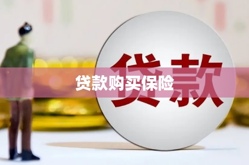 万全贷款购买保险