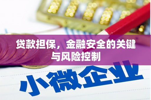 万全贷款担保，金融安全的关键与风险控制