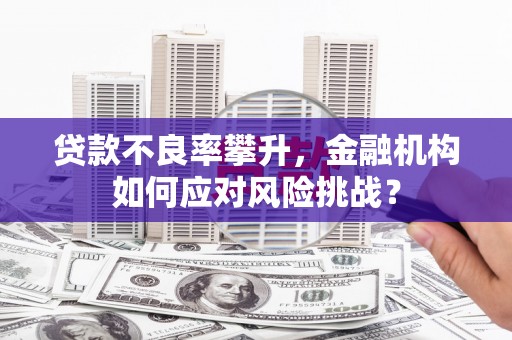 万全贷款不良率攀升，金融机构如何应对风险挑战？