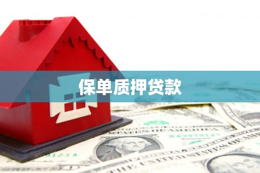 万全保单质押贷款
