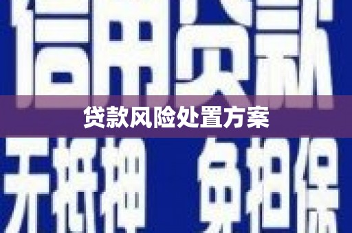 万全贷款风险处置方案